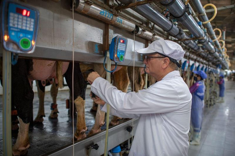 TH ứng dụng công nghệ cao trong cả chuỗi quy trình chăn nuôi, chế biến.