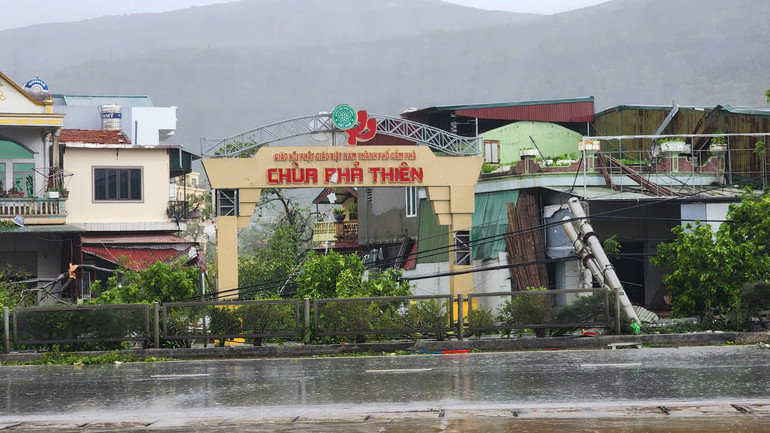 (ẢNH: THÀNH ĐẠT-SƠN BÁCH) (ẢNH: THÀNH ĐẠT-SƠN BÁCH)