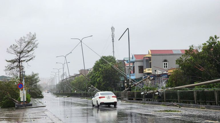 (ẢNH: THÀNH ĐẠT-SƠN BÁCH) (ẢNH: THÀNH ĐẠT-SƠN BÁCH)