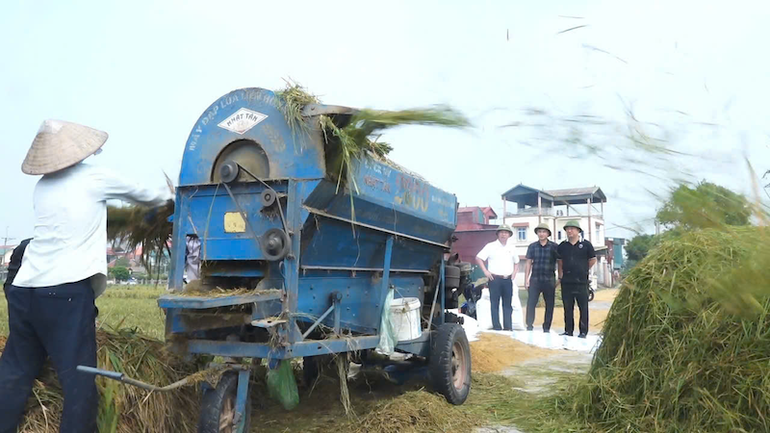 Hội Nông dân huyện Thanh Oai đưa máy tuốt lúa đến tận chân ruộng để phục vụ nông dân.