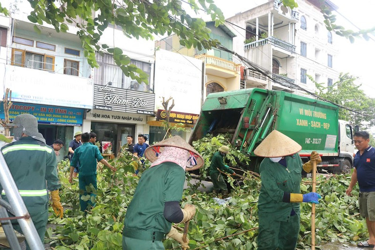 Các lực lượng của thành phố Móng Cái khẩn trương dọn vệ sinh, thu dọn cây gãy đổ, bảo đảm giao thông.