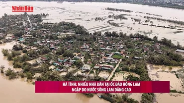 [Video] Hà Tĩnh: Nhiều nhà dân tại ốc đảo Hồng Lam ngập do nước sông Lam dâng cao 
