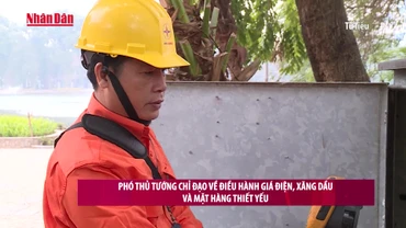 [Video] Phó Thủ tướng chỉ đạo về điều hành giá điện, xăng dầu và mặt hàng thiết yếu 
