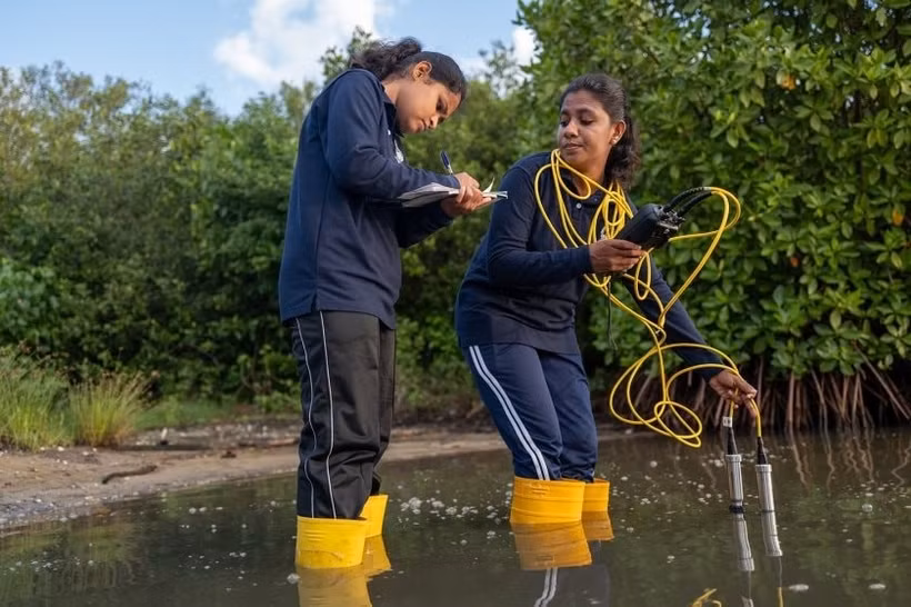 Các nhà nghiên cứu Sri Lanka đánh giá chất lượng nước nhằm tìm ra địa điểm tốt nhất để trồng lại rừng ngập mặn. (Ảnh UNEP)