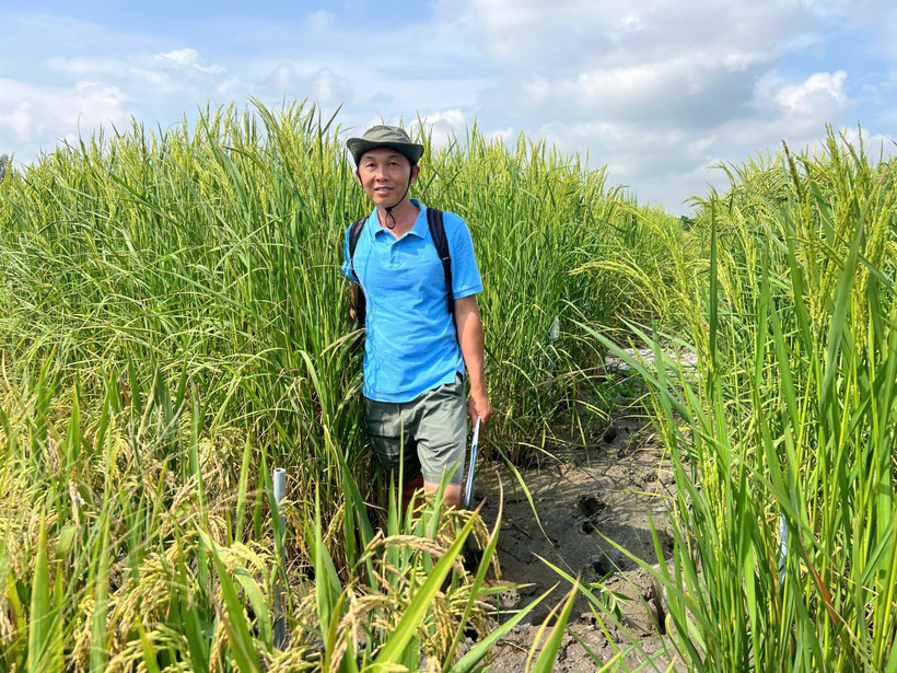 ThS Lê Thanh Phong, Phó Viện trưởng Biến đổi khí hậu, Trường đại học An Giang (Đại học Quốc gia Thành phố Hồ Chí Minh).