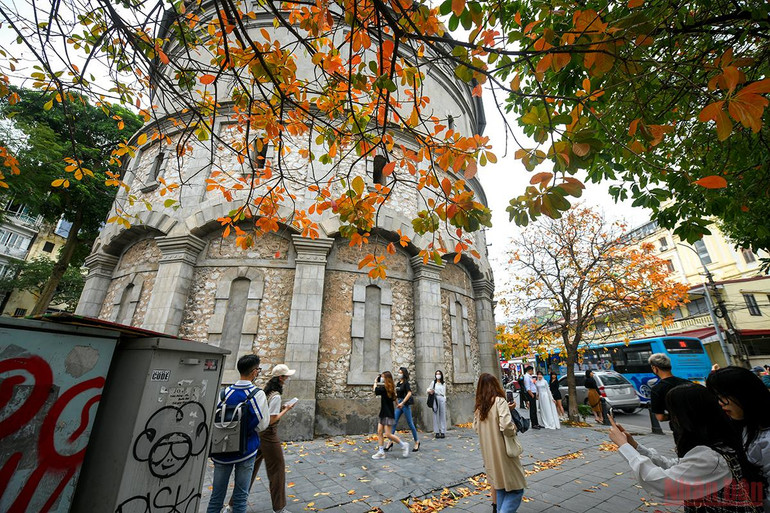 Hà Nội đẹp nao lòng mùa lá rụng tháng 3 -0