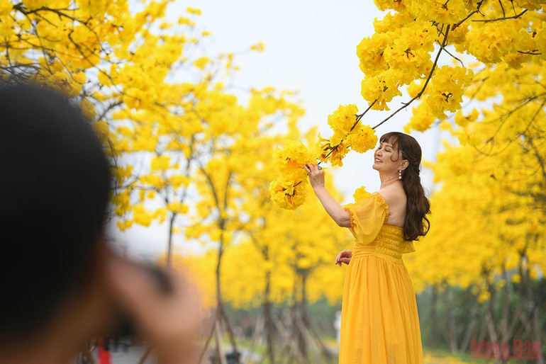 Hà Nội rực rỡ mùa hoa tháng 3 -0