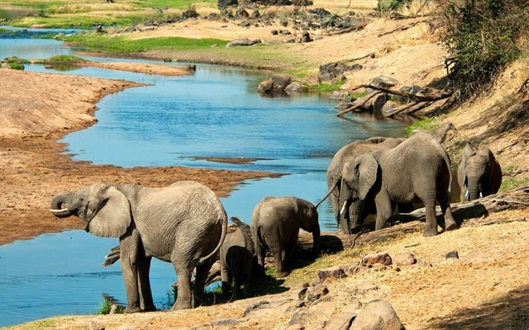Khu bảo tồn thiên nhiên hoang dã Selous ở Tanzania (Ảnh: WIKITRAVEL) Nhiều Di sản Thế giới đối mặt với nguy cơ mất danh hiệu -0