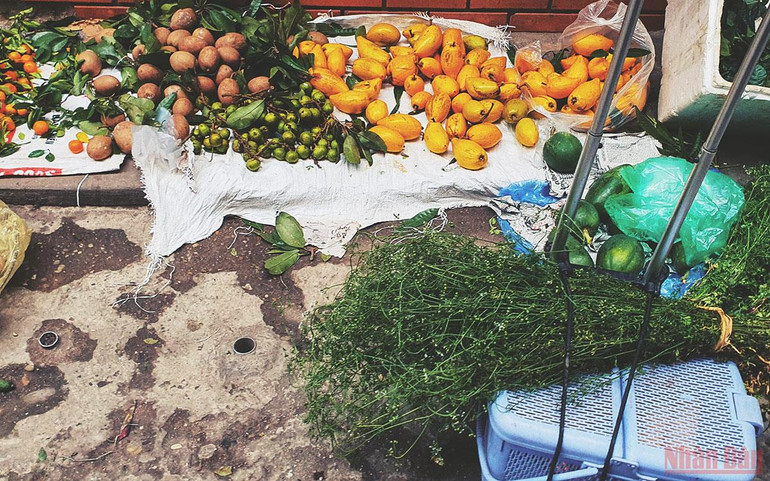 Giá cả thị trường bình ổn, không hiếm hàng, khan giá -0