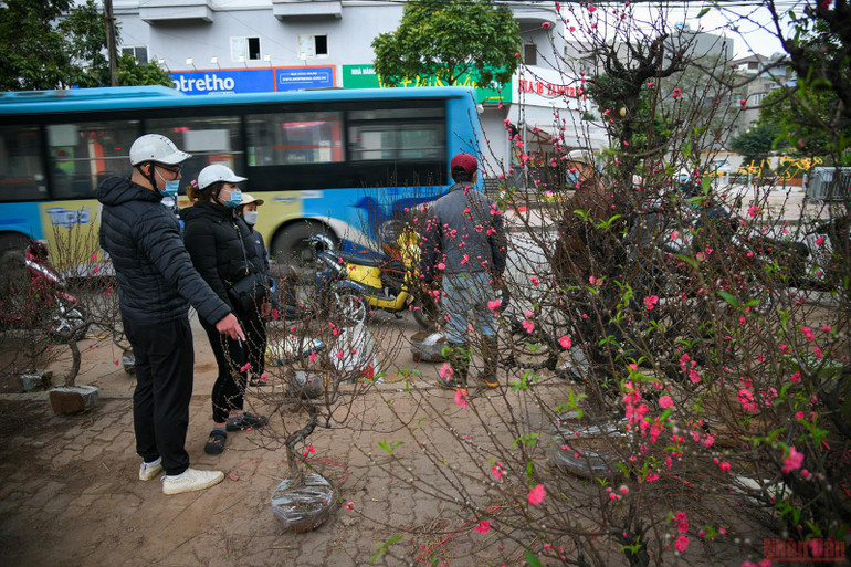 Những khoảng khắc ngày cuối năm -0