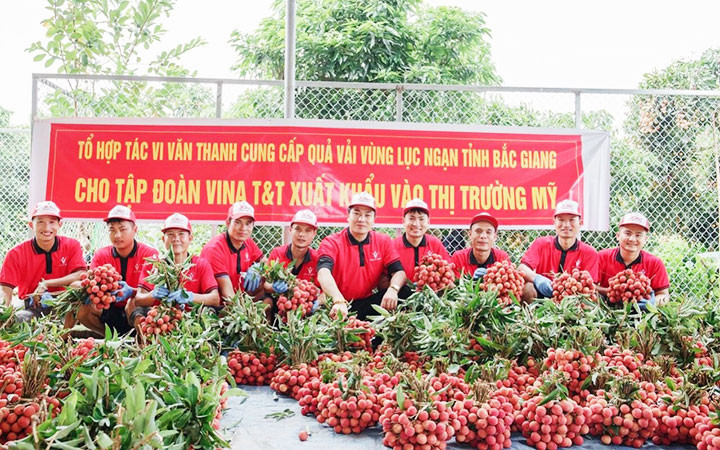 Định vị vai trò, sứ mệnh của nông nghiệp, nông thôn -0