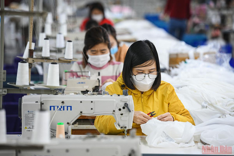 Các doanh nghiệp trong nước nỗ lực vượt khó, tăng đà phục hồi -0