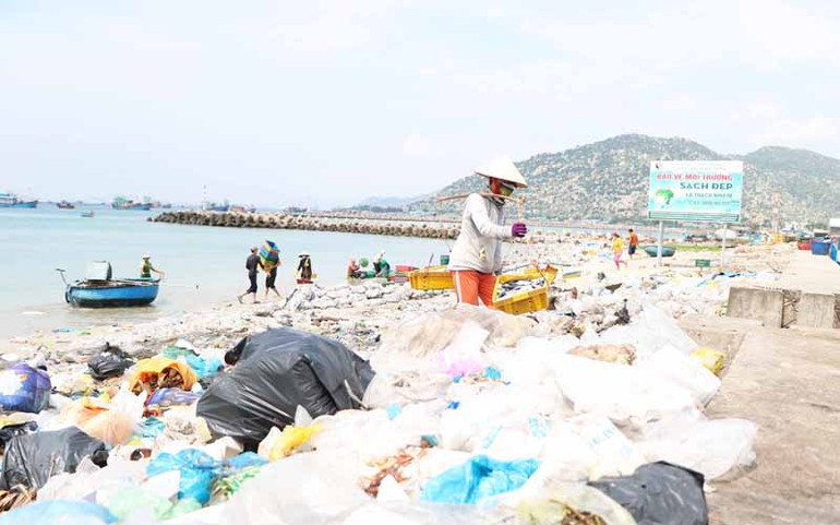 Rác thải ven biển Ninh Thuận gây ô nhiễm nghiêm trọng -0