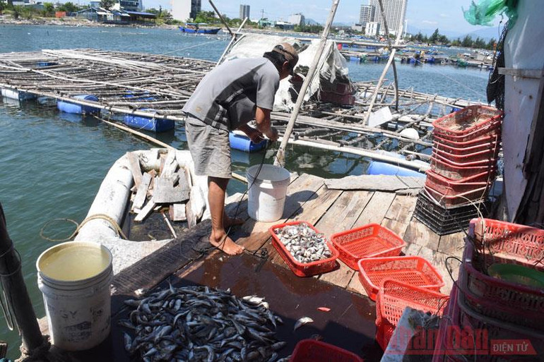 Một ngày trên vịnh Mân Quang -0