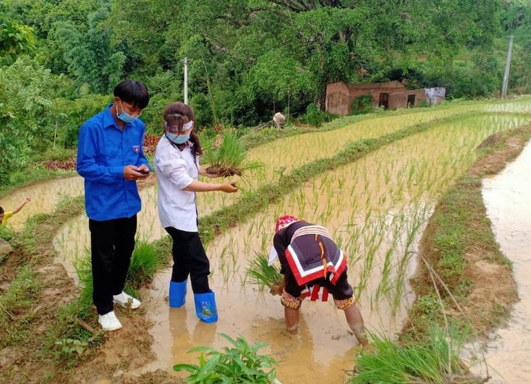Ra đồng vận động người dân cài Bluezone ở Quảng Ninh. Thấm đẫm màu áo xanh tình nguyện trong chiến dịch vận động cài Bluezone -0