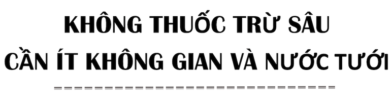 Bên trong nông trại đô thị trên mái nhà lớn nhất thế giới -0