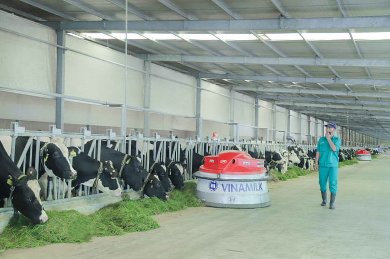 Các hoạt động thực hành ESG luôn được Vinamilk chú trọng trong chiến lược sản xuất kinh doanh. (Ảnh: VNM) Đại dịch Covid-19 đang định hình rõ hơn xu hướng đầu tư ESG -0