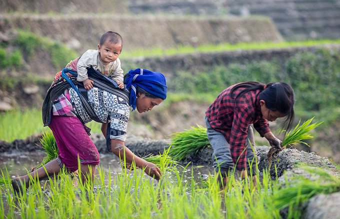 Khoảnh khắc yêu thương của những em bé bên mẹ ảnh 2