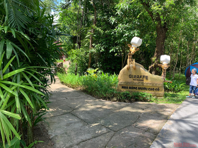 Trải nghiệm công viên động vật hoang dã Safari Phú Quốc -1