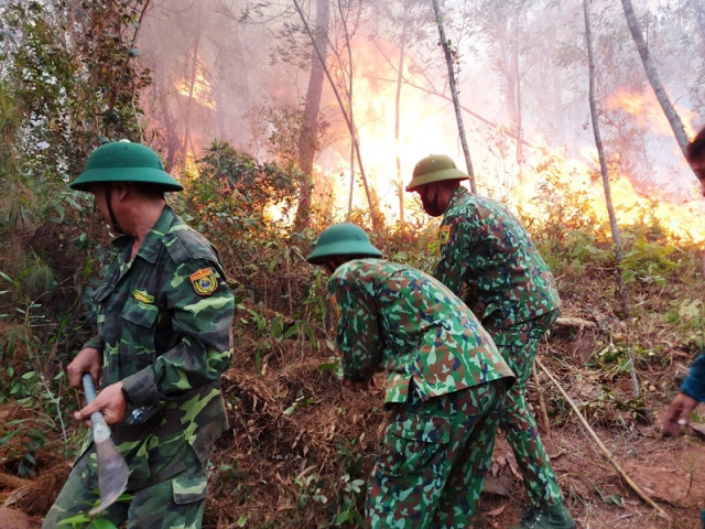 Lại cháy rừng ở Diễn Châu (Nghệ An) -0