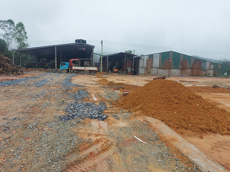 Chuyện lạ ở Thanh Mai -0