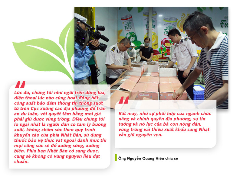 Chuyện trí tuệ Việt đưa vải thiều sang Nhật ảnh 4 quote02-1593635051242.jpg