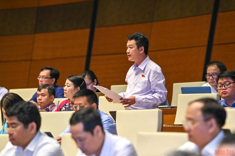 Sửa đổi luật để nâng cao chất lượng dịch vụ y tế cho người dân -0