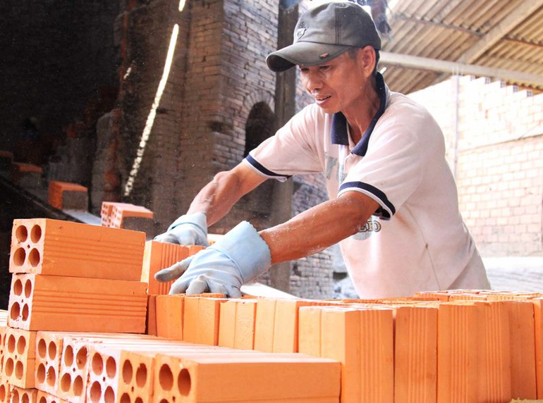 Đánh thức tiềm năng “Vương quốc đỏ Vĩnh Long” -0