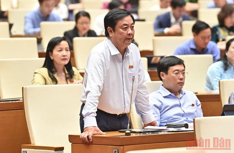 Bộ trưởng Nông nghiệp và Phát triển nông thôn Lê Minh Hoan. (Ảnh: LINH KHOA) Chất vấn 4 nhóm vấn đề thuộc lĩnh vực nông nghiệp, tài chính, ngân hàng và giao thông vận tải -0