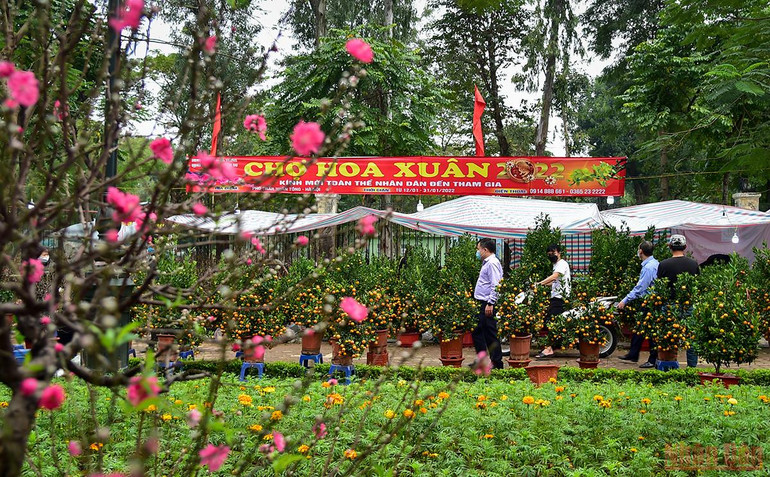 Hà Nội “thay áo mới” rực rỡ đón Xuân Nhâm Dần 2022 -0