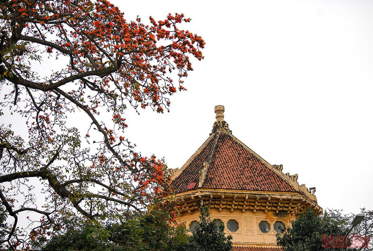 Hà Nội rực rỡ mùa hoa tháng 3 -0