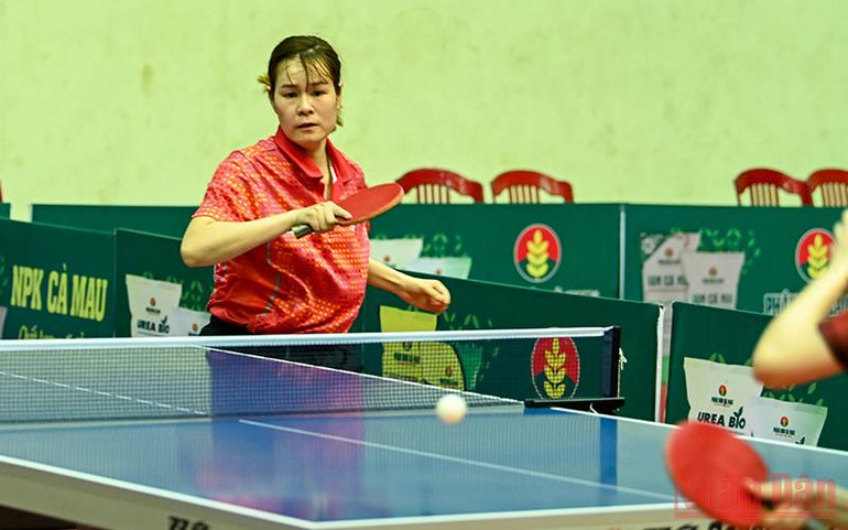 Hà Nội và Đà Nẵng thể hiện sức mạnh vượt trội -3