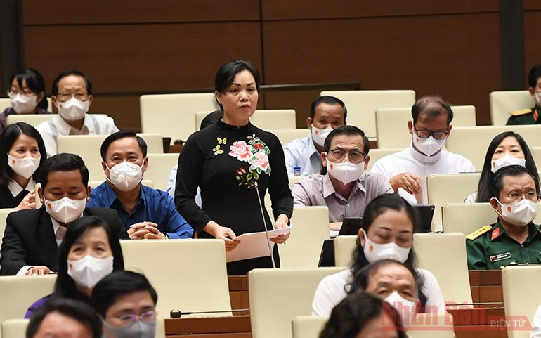 Xây dựng nông thôn mới bền vững trên nền tảng chủ thể là người nông dân -0