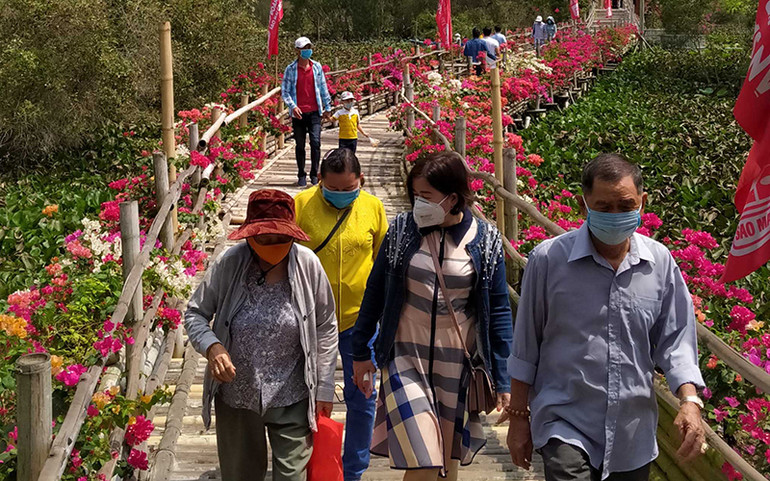 Nhiều du khách thích thú với chiếc cầu tre độc đáo tại rừng tràm Trà Sư. Khách du xuân rừng tràm Trà Sư, check-in cầu tre dài nhất Việt Nam -0