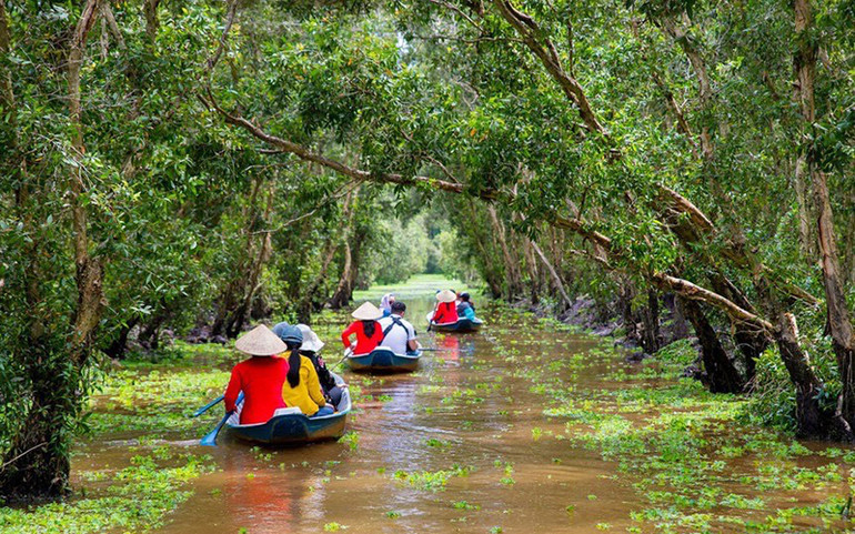 Nhiều du khách chọn bơi xuồng, khám phá rừng tràm xanh mát. Khách du xuân rừng tràm Trà Sư, check-in cầu tre dài nhất Việt Nam -0