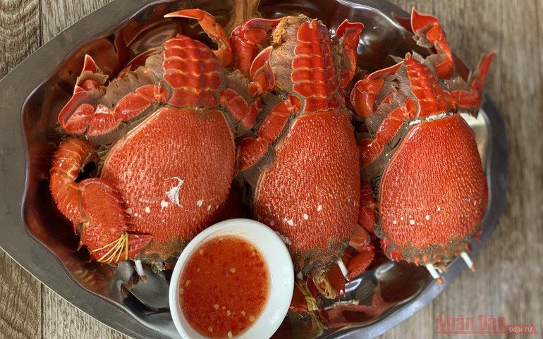 Đến với Cù Lao Thu -0