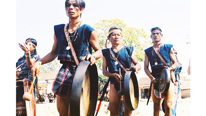 Giữ tiếng vọng đại ngàn (kỳ 1) -0