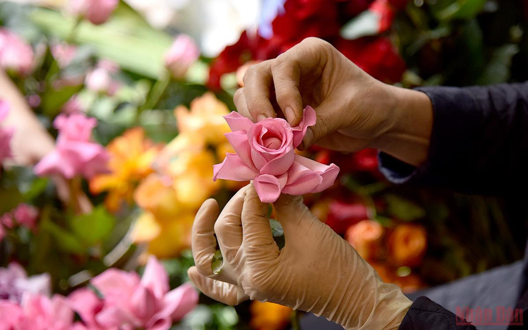 Thị trường hoa tươi ngày 20/10 kém “sôi động” do ảnh hưởng của dịch -0