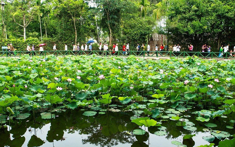 Khu di tích Quốc gia đặc biệt Kim Liên luôn là điểm đến của mọi du khách khi về Nghệ An. Nghệ An nâng cao chất lượng sản phẩm, thu hút nhân lực ngành du lịch -0