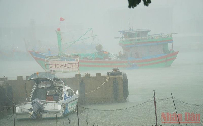 Đà Nẵng kiểm soát chặt chẽ việc ngư dân vào tránh trú bão tại âu thuyền Thọ Quang -0