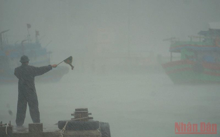 Đà Nẵng kiểm soát chặt chẽ việc ngư dân vào tránh trú bão tại âu thuyền Thọ Quang -0