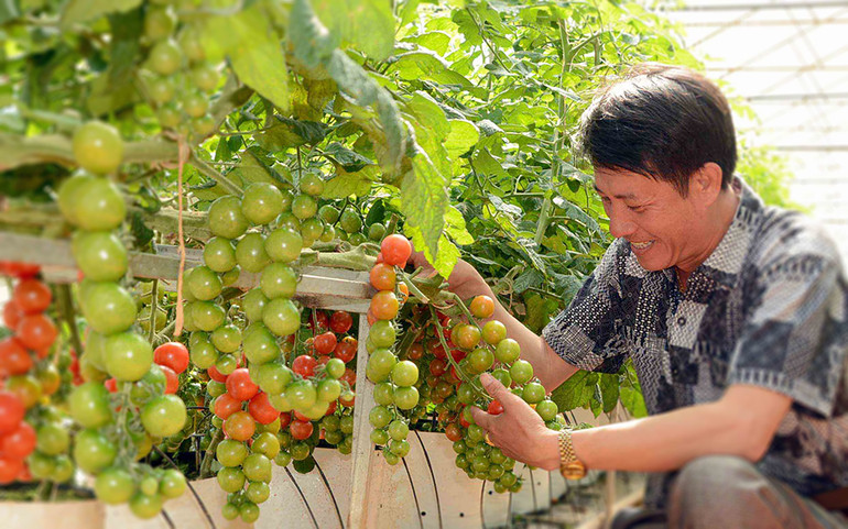 Thời của nông nghiệp 4.0:&nbsp;Đổi chất, tăng lượng -4