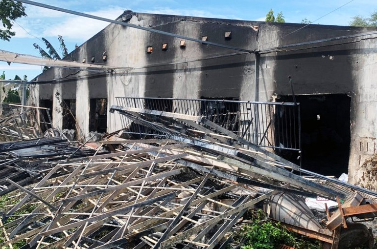 Chủ trại chôn hơn 130 con lợn trong rẫy cao-su khai do lợn chết cháy -0