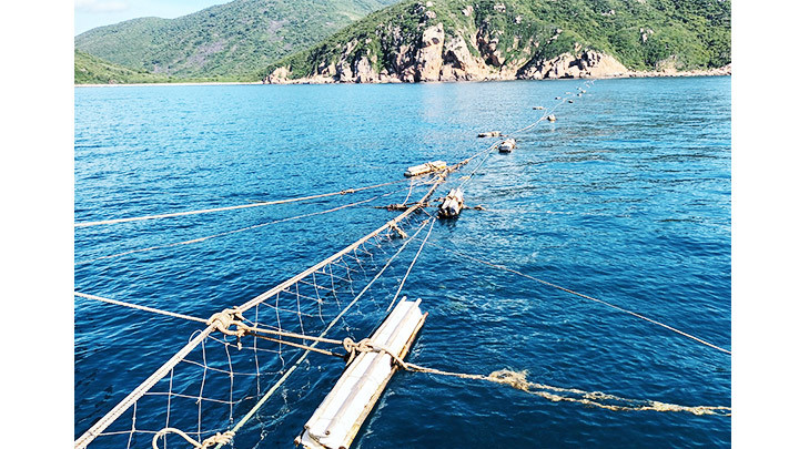 Độc đáo nghề lưới đăng -0