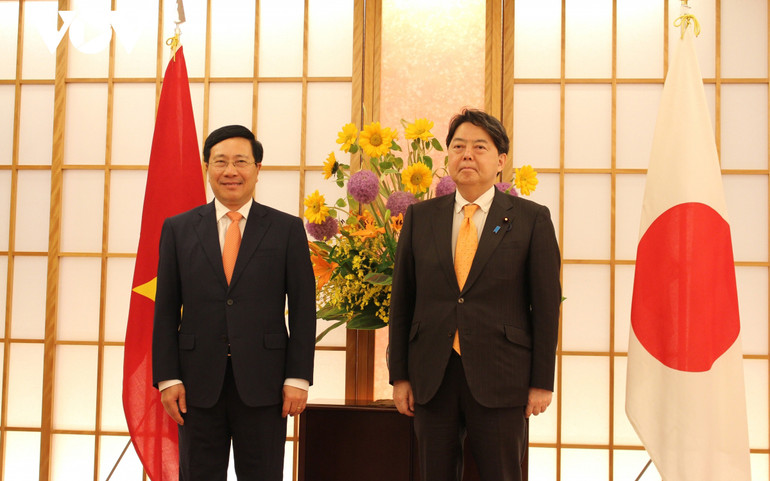 Phó Thủ tướng Phạm Bình Minh tiếp Ngoại trưởng Nhật Bản Hayashi Yoshimasa. (Ảnh: VOV) Thúc đẩy quan hệ Việt Nam-Nhật Bản phát triển mạnh mẽ, thực chất -0