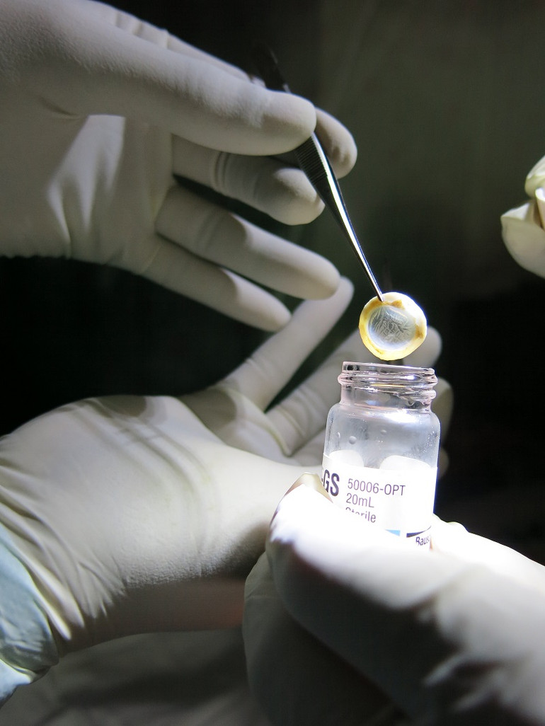 Những chuyến đi “lưu giữ ánh sáng” cho đời -0