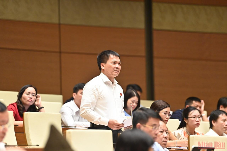 Chuyển hướng tư duy từ sản xuất nông nghiệp sang kinh tế nông nghiệp -0