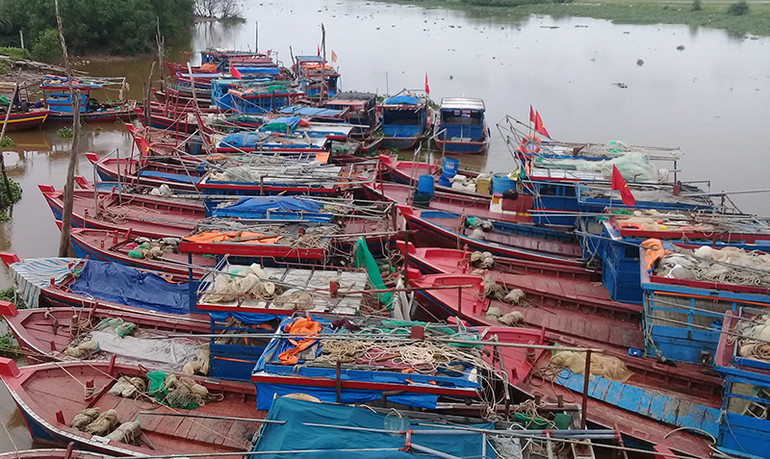 Tàu, thuyền của ngư dân thị trấn Diêm Điền, huyện Thái Thụy, tỉnh Thái Bình vào nơi tránh trú an toàn. Hải Phòng cấm biển để phòng, chống bão số 7 -0