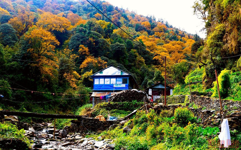 Sắc thu rực rỡ ở Nepal -3