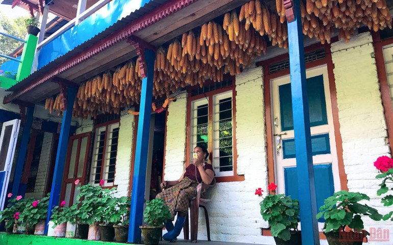 Sắc thu rực rỡ ở Nepal -1